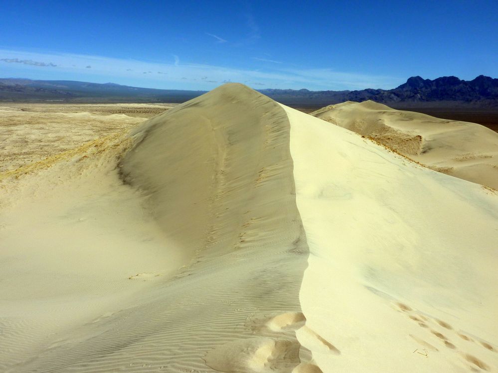 Mojave reserve (16).JPG